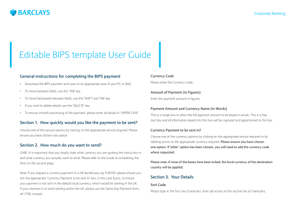 316849636-pms-editable-bips-template-user-guide-colour