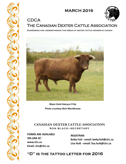 317042840-cdca-the-canadian-dexter-cattle-association-dextercattle