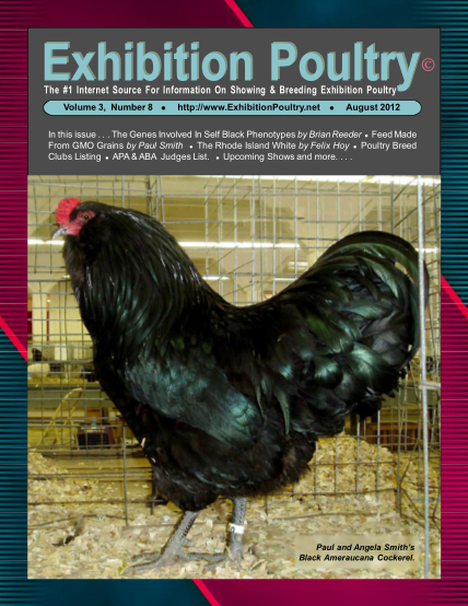 318294914-exhibition-poultry-the-1-internet-source-for-information-on-showing-ampamp-exhibitionpoultry