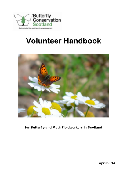 319028591-volunteer-handbook-butterfly-conservation-butterfly-conservation