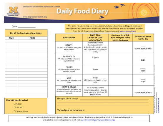 319986424-daily-food-diary-with-sample-depression-toolkit-depressiontoolkit