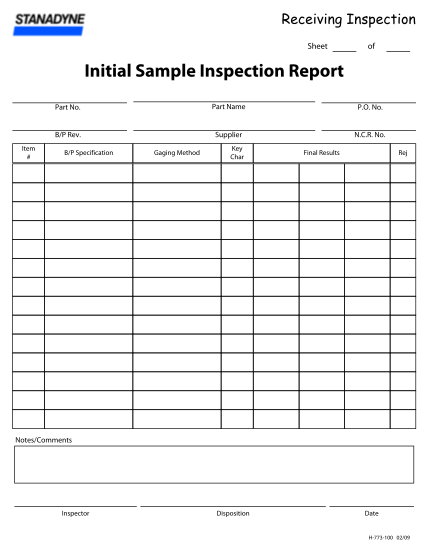 325791371-initial-sample-inspection-report