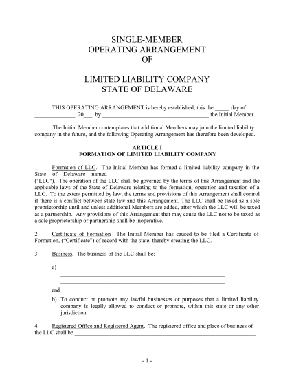 3263031-delaware-single-member-llc-operating-agreement