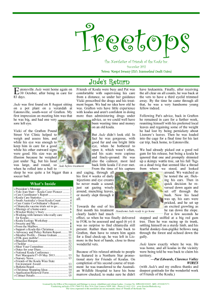 326719580-treetops-december-2012-friends-of-the-koala-friendsofthekoala