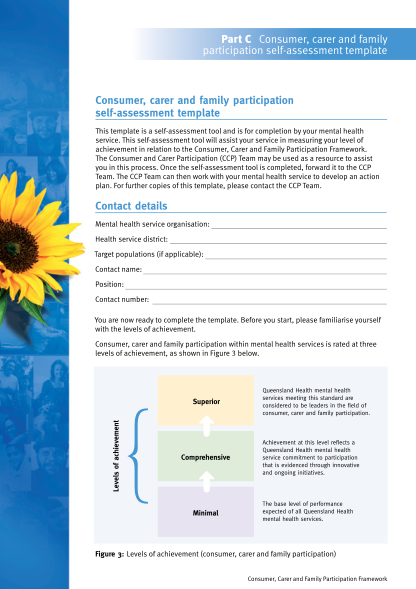330286603-consumer-carer-and-family-participation-self-assessment-health-qld-gov