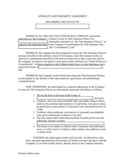 33037404-affidavit-and-indemnity-agreement-ntiweb