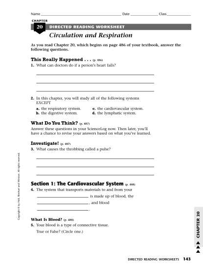 330481063-chapter-20-directed-reading-worksheet-circulation-and