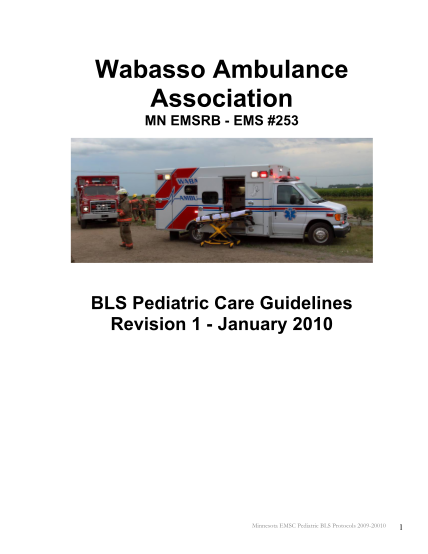 332477002-wabasso-ambulance