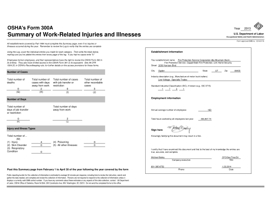 333804781-osha-s-form-300a-year-summary-of-workrelated-injuries-and-illnesses-2013-u