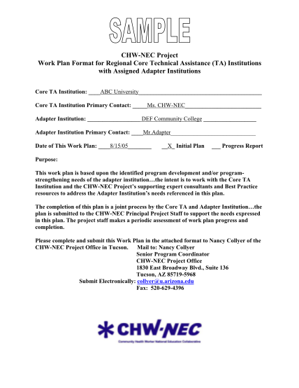 335596623-chw-nec-project-work-plan-format-for-regional-core-chw-nec
