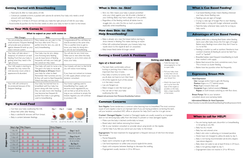337849126-breastfeeding-quick-start-guide-modifiable-wisconsin