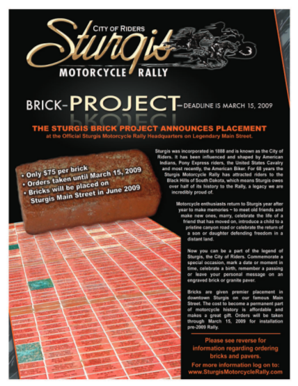 34033346-fillable-sturgis-buy-a-brick-form