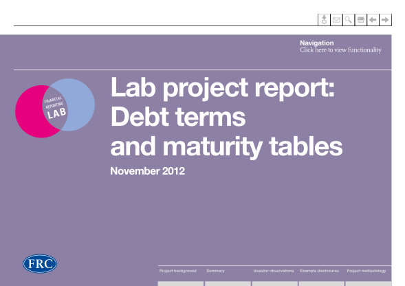 349009123-lab-project-report-debt-terms-and-maturity-tables-financial-bb