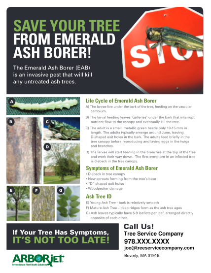 349835375-save-your-tree-from-emerald-ash-borer