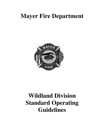 352236008-wildland-sog-07_14-mayer-fire-department