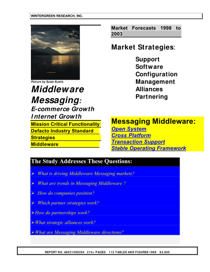 35494316-market-strategies