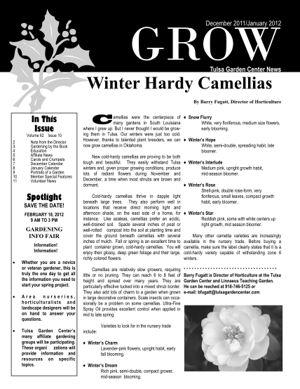 363755875-winter-hardy-camellias-tulsa-garden-center