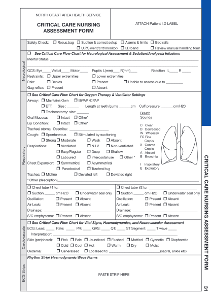 367241101-nursing-skin-assessment-forms