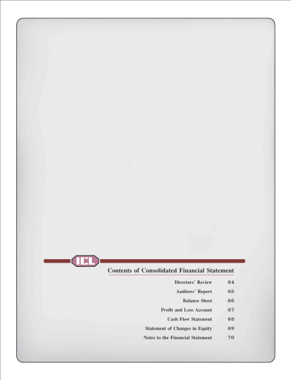 371339806-consolidated-annual-report-2008