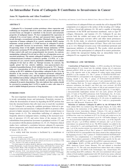 38063785-an-intracellular-form-of-cathepsin-b-contributes-cancer-research-cancerres-aacrjournals