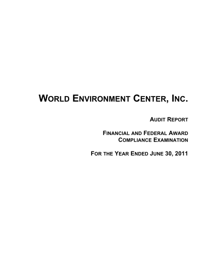 382381127-2011-audit-report-world-environment-center-wec
