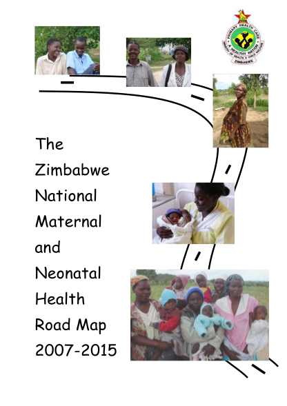 38363743-the-zimbabwe-national-maternal-and-neonatal-health-road-map-bb-who