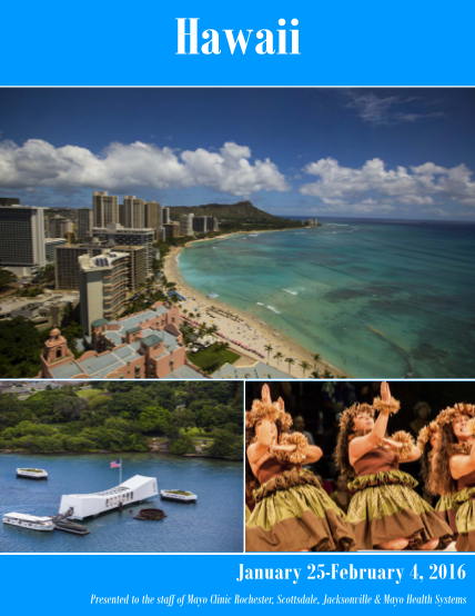 385797154-mayo-hawaii-2016-brochure-carrousel-travel