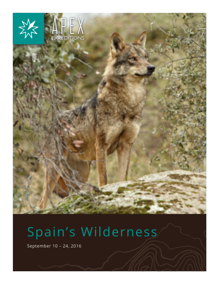 390330451-spain-wildlife-tours-brochure-with-itinerary-and-apex-expeditions