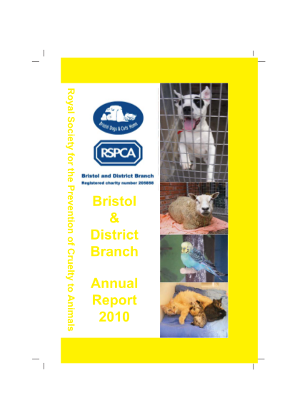 395609591-web-versionlayout-1qxd-rspca-bristol-dogs-and-cats-home