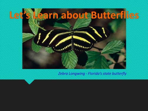 396299216-all-about-butterflies-university-of-florida-holmes-ifas-ufl