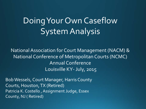 398882329-doing-your-own-caseflow-sytem-analysis-nacm-annual-bb-nacmconference