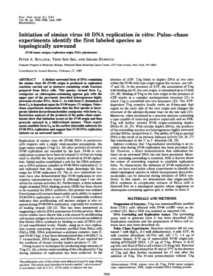 400619-3944full-initiation-of-simian-virus-40-dna-replication-in-vitro-pulse-chase-various-fillable-forms-pnas