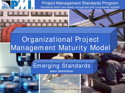 402149029-organizational-project-management-maturity-model-mpcm