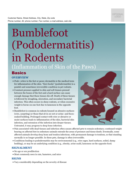 404342220-bumblefoot-pododermatitis-in-rodents-sawnee-animal-clinic