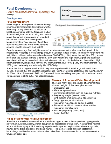 404500604-fetal-development-haspi-answers
