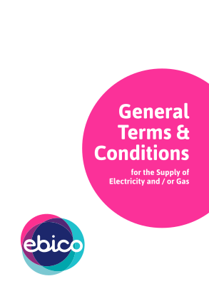 408634159-general-terms-amp-conditions-bebicob-ebico-org