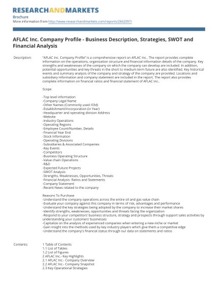 411102653-baflacb-inc-company-profile-business-description-strategies-bb