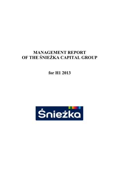 412953328-management-report-of-the-nieka-capital-group-for-h1-2013