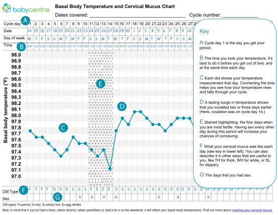 413072318-download-a-basal-body-temperature-and-cervical-babycentre