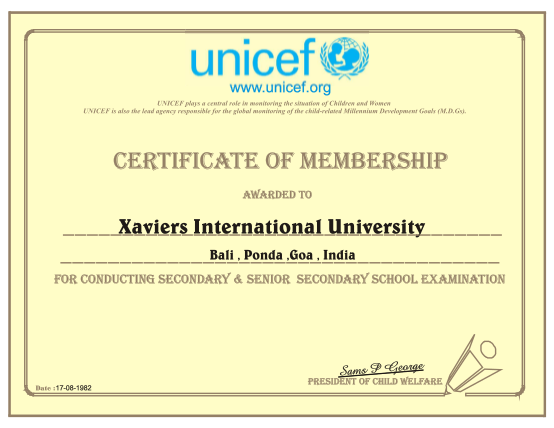 420799446-unicef-certificate