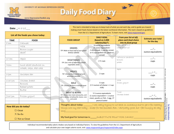 422239302-daily-food-diary-with-sampledocx-depressiontoolkit