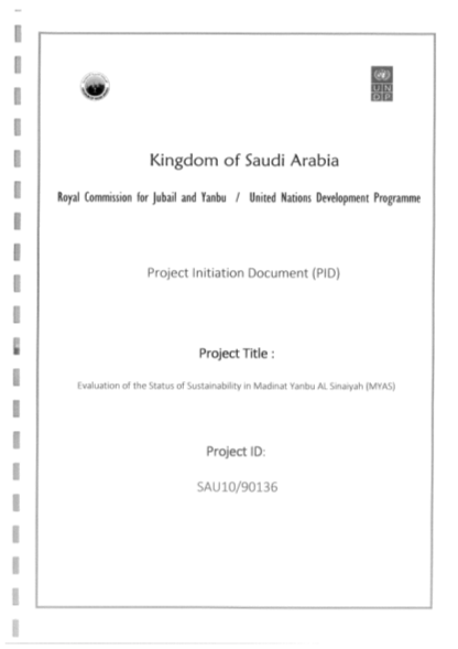427107399-project-initiation-document-pid-project-title-sa-undp