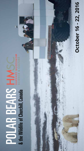 433051968-hmsc-polar-bears-amp-the-wildlife-of-churchill-canada-trip-brochure-hmsc-harvard