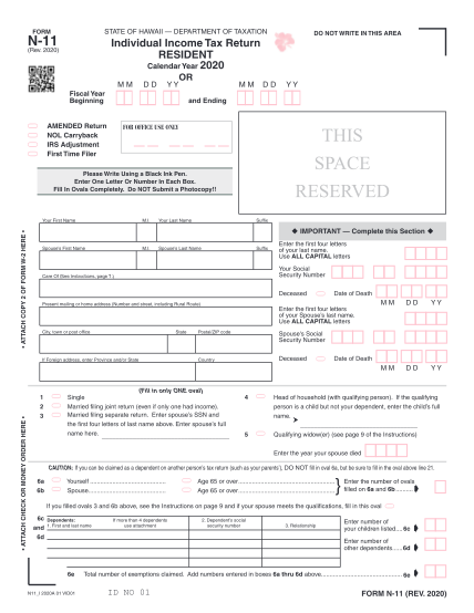 43744418-n11-fillable-form-2009