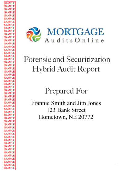 43950040-forensic-and-securitization-hybrid-audit-report-prepared-for