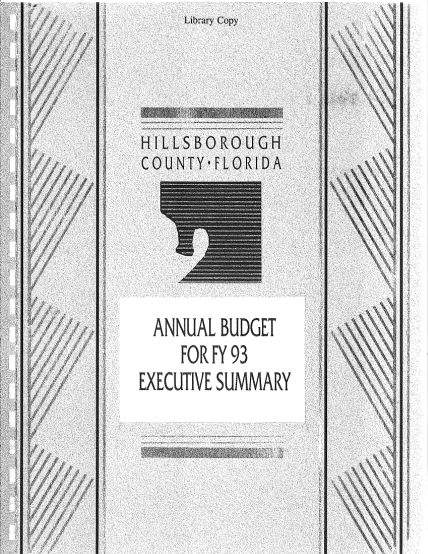 441792756-annual-budget-executive-summary-hillsborough-county