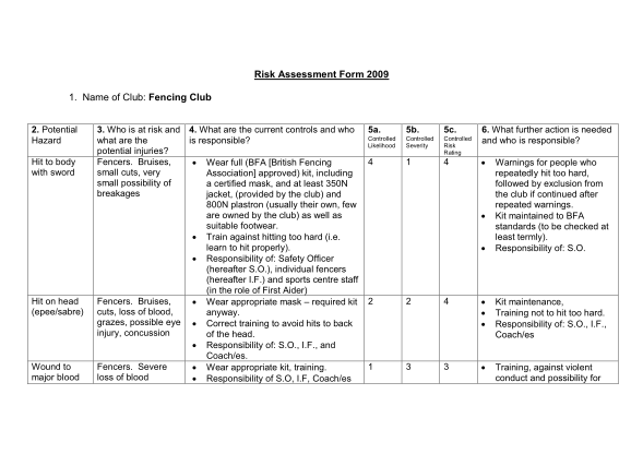 44602166-risk-assessment-form-2009