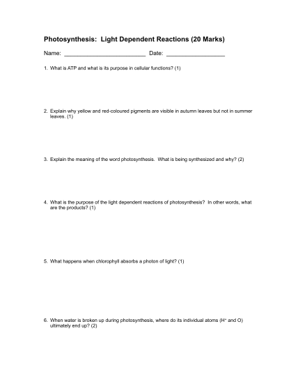 446541099-3-light-dependent-reactions-questions-boutestein