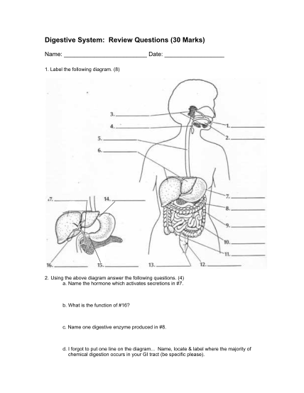 446541103-digestive-system-review-questions-30-marks-boutestein
