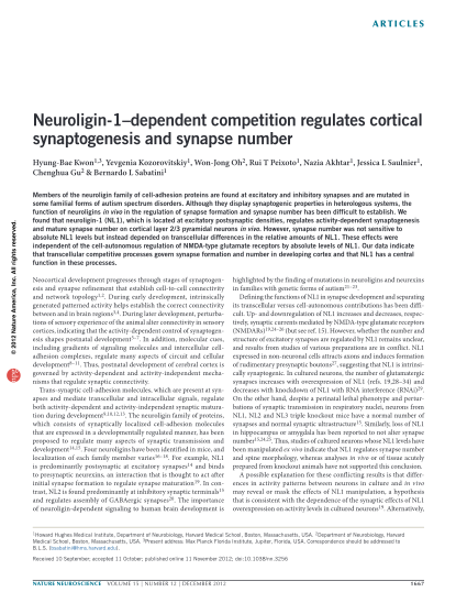 448178913-neuroligin-1dependent-competition-regulates-cortical-gu-med-harvard